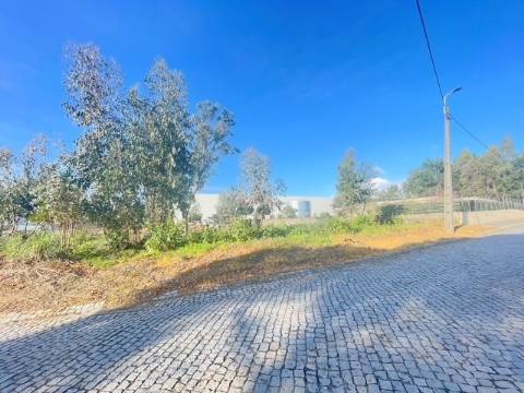 Terreno com 733m2, localizado próximo do Centro de Canelas!