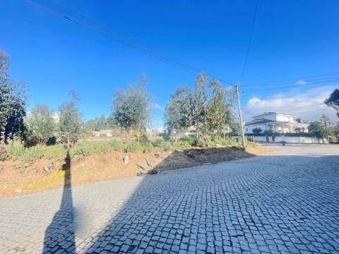 Terreno com 733m2, localizado próximo do Centro de Canelas!