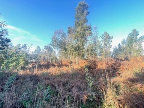 Terreno  Venda em Canelas,Vila Nova de Gaia