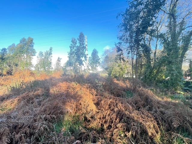 Terreno  Venda em Canelas,Vila Nova de Gaia