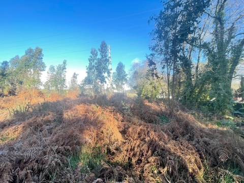 Terreno  Venda em Canelas,Vila Nova de Gaia