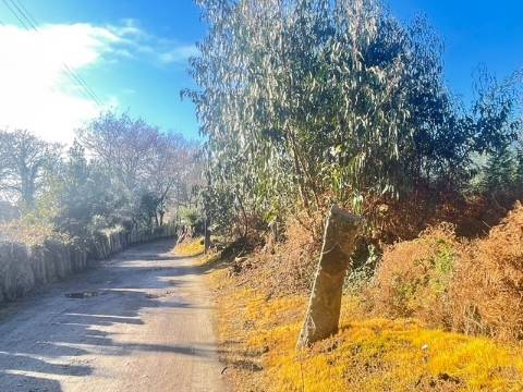 Terreno  Venda em Canelas,Vila Nova de Gaia