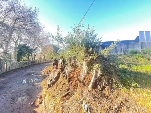 Terreno  Venda em Canelas,Vila Nova de Gaia