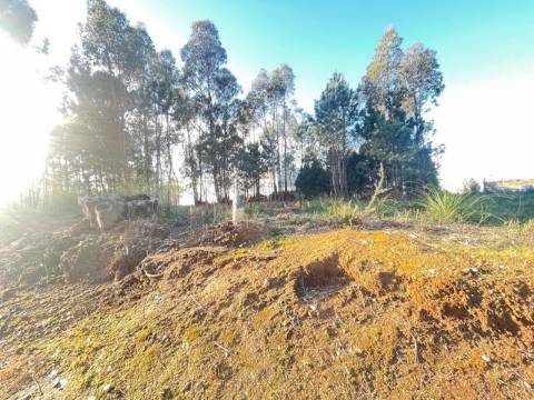 Terreno com 606m2, localizado próximo do Centro de Canelas!