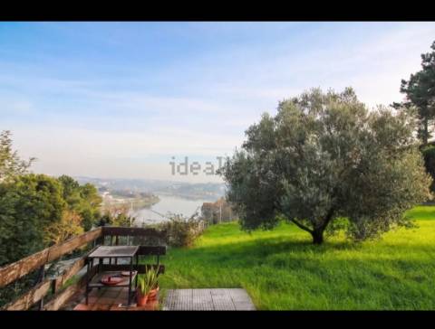 Quinta com Vista Privilegiada sobre o Rio Douro | Oliveira do Douro
