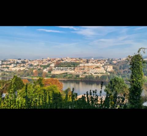 Quinta com Vista Privilegiada sobre o Rio Douro | Oliveira do Douro