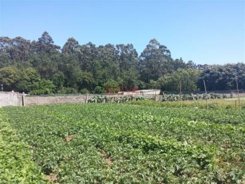 Terreno para construção de moradias em Póvoa de Varzim Nova Imobiliária