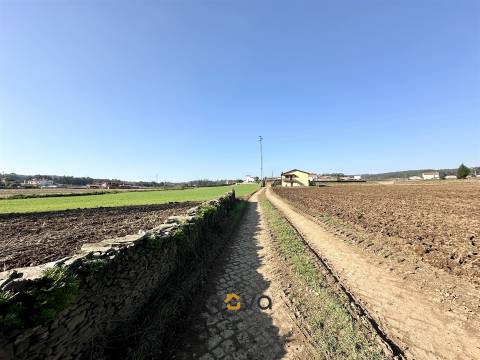 Terreno rústico para atividade agrícola. Póvoa de Varzim &#124;  Nova Imobiliária