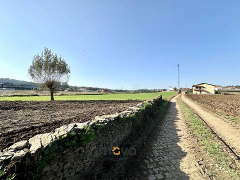 Terreno rústico para atividade agrícola. Póvoa de Varzim &#124;  Nova Imobiliária