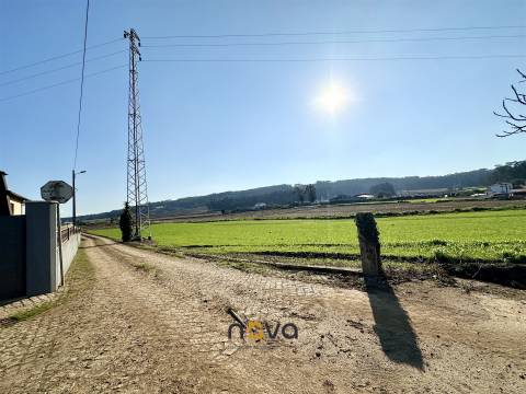 Terreno rústico para atividade agrícola. Póvoa de Varzim &#124;  Nova Imobiliária