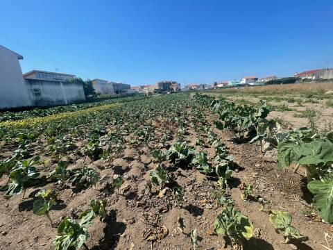 Terreno urbano com 1476m2 localizado em Aver o Mar, Póvoa de Varzim  NOVA Imobiliária