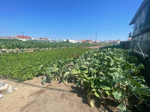 Terreno urbano com 1476m2 localizado em Aver o Mar, Póvoa de Varzim  NOVA Imobiliária