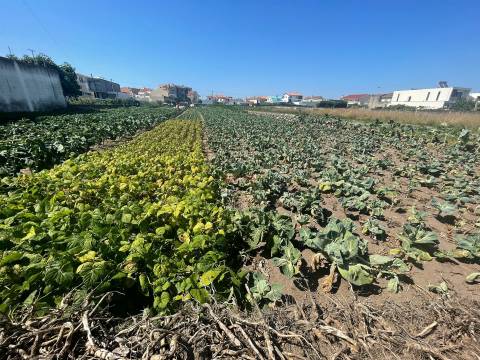 Terreno urbano com 1476m2 localizado em Aver o Mar, Póvoa de Varzim  NOVA Imobiliária