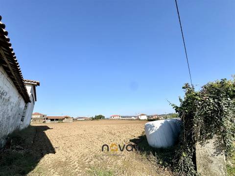 Terreno para construção em Rates &#124; NOVA Imobiliária