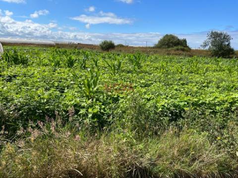 Terreno Rústico  Venda em Aguçadoura e Navais,Póvoa de Varzim