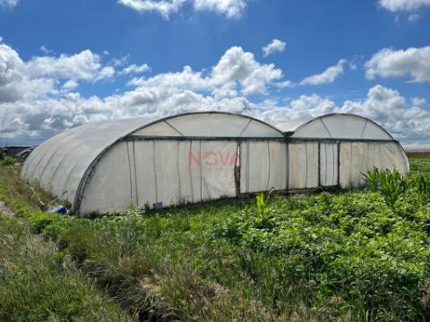 Terreno Rústico  Venda em Aguçadoura e Navais,Póvoa de Varzim