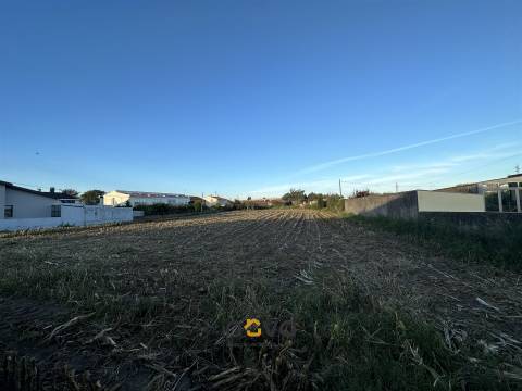 Terreno com 4784 m2 em Vila do Conde NOVA Imobiliária