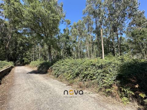 Terreno com 6100m2 em Gião, Vila do Conde NOVA Imobiliária