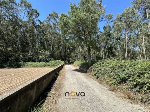 Terreno com 6100m2 em Gião, Vila do Conde NOVA Imobiliária