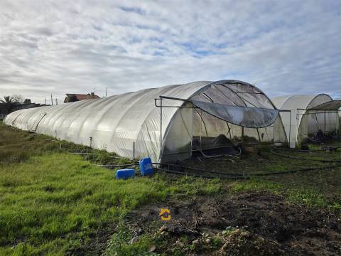 Lote de Terreno, Póvoa de Varzim