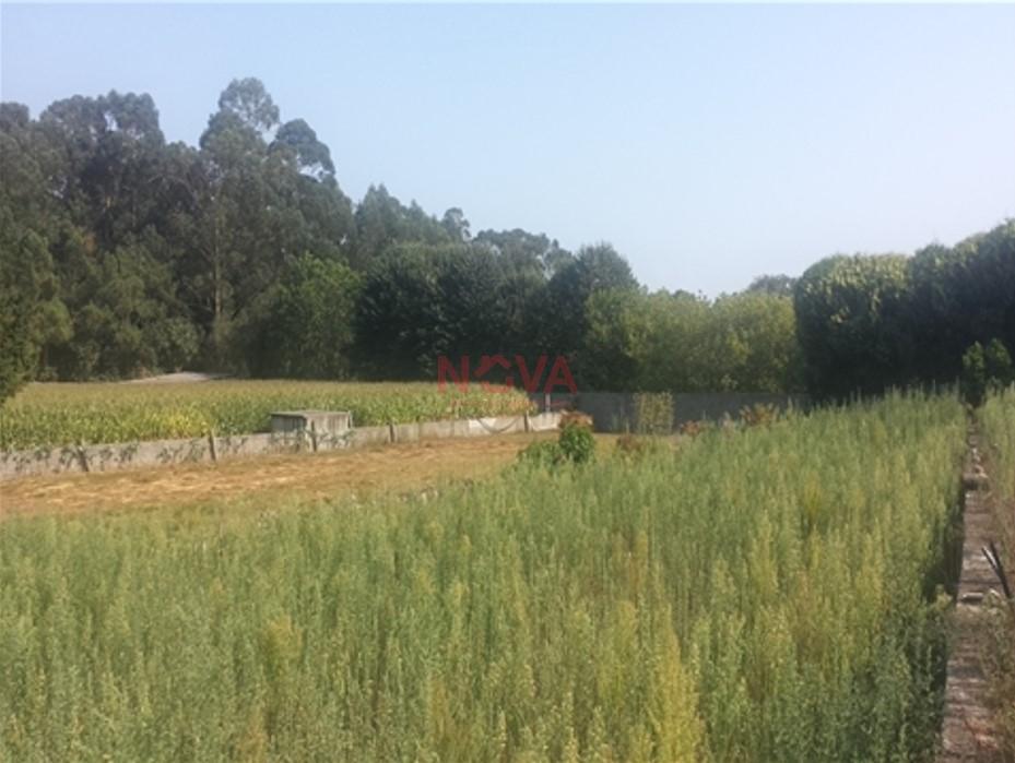 Terreno para construção de moradias em Póvoa de Varzim Nova Imobiliária