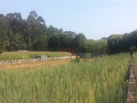 Terreno para construção de moradias em Póvoa de Varzim Nova Imobiliária