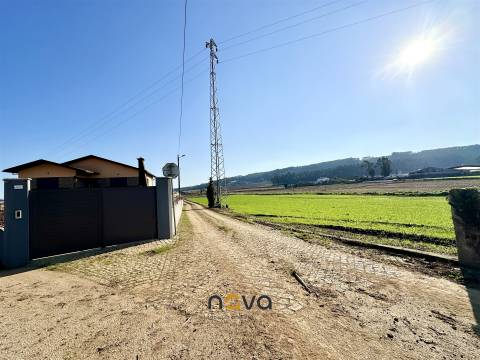 Terreno rústico para atividade agrícola. Póvoa de Varzim |  Nova Imobiliária
