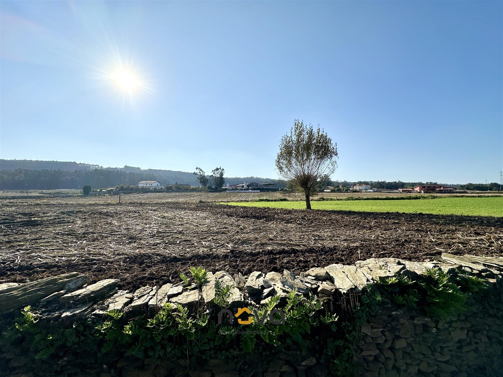 Terreno rústico para atividade agrícola. Póvoa de Varzim |  Nova Imobiliária