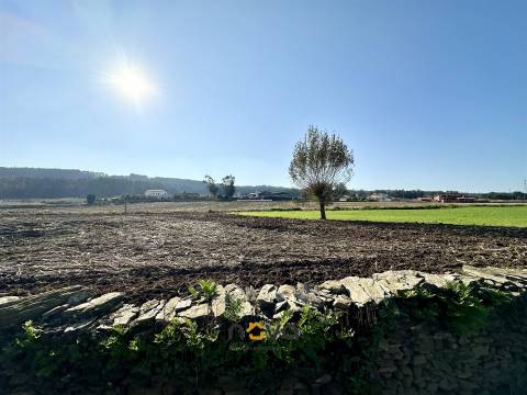 Terreno rústico para atividade agrícola. Póvoa de Varzim |  Nova Imobiliária