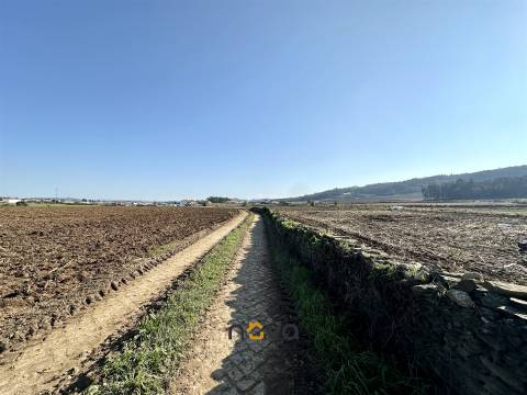 Terreno rústico para atividade agrícola. Póvoa de Varzim |  Nova Imobiliária