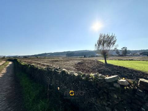 Terreno rústico para atividade agrícola. Póvoa de Varzim |  Nova Imobiliária