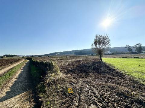 Terreno rústico para atividade agrícola. Póvoa de Varzim |  Nova Imobiliária