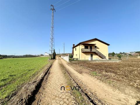 Terreno rústico para atividade agrícola. Póvoa de Varzim |  Nova Imobiliária