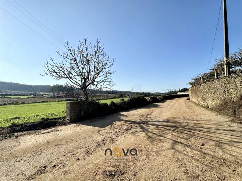 Terreno rústico para atividade agrícola. Póvoa de Varzim |  Nova Imobiliária