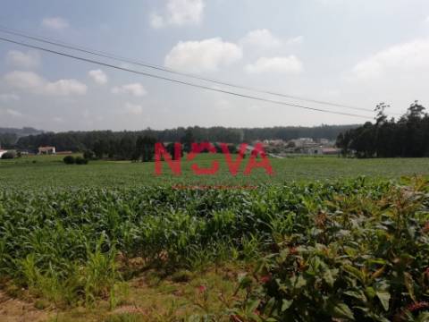 Terreno Urbano  Venda em Laundos,Póvoa de Varzim