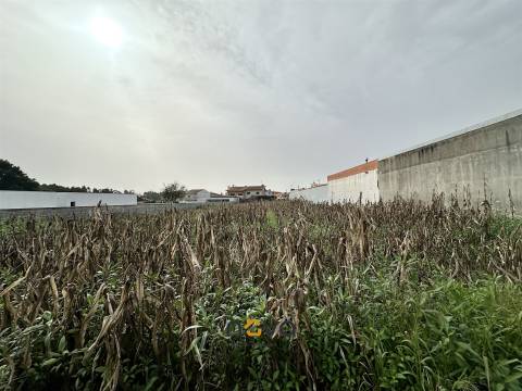 Terreno urbano com 2143 m2 para construção de moradia | NOVA Imobiliária