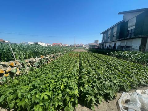 Terreno urbano com 1476m2 localizado em Aver o Mar, Póvoa de Varzim  NOVA Imobiliária