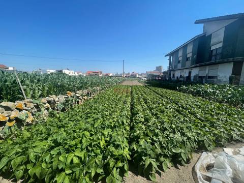 Terreno urbano com 1476m2 localizado em Aver o Mar, Póvoa de Varzim  NOVA Imobiliária