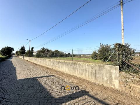 Terreno para construção de moradias isoladas ou em banda. Póvoa de Varzim | Nova Imobiliária