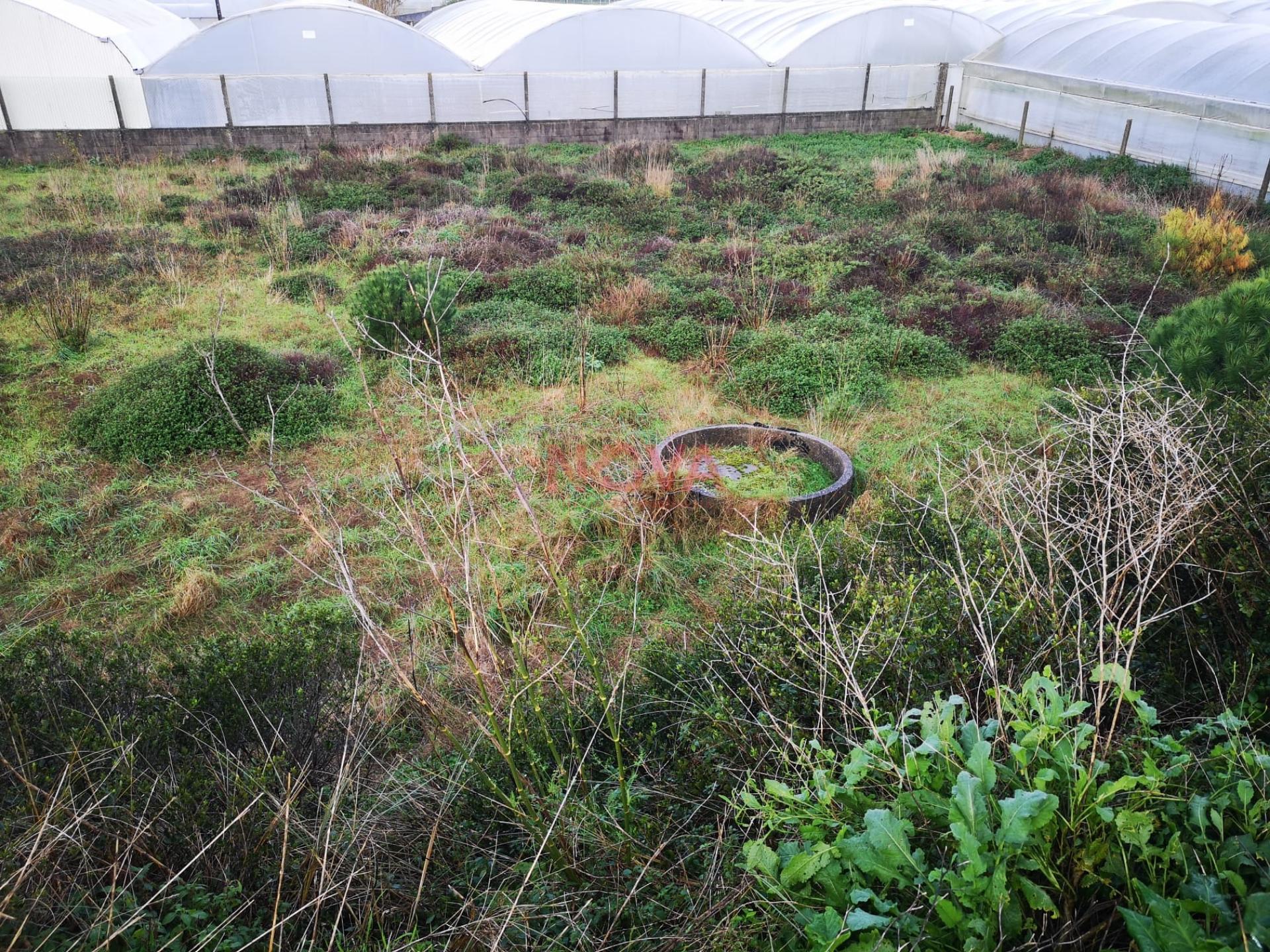 Terreno rustico na Estela | NOVA Imobiliária