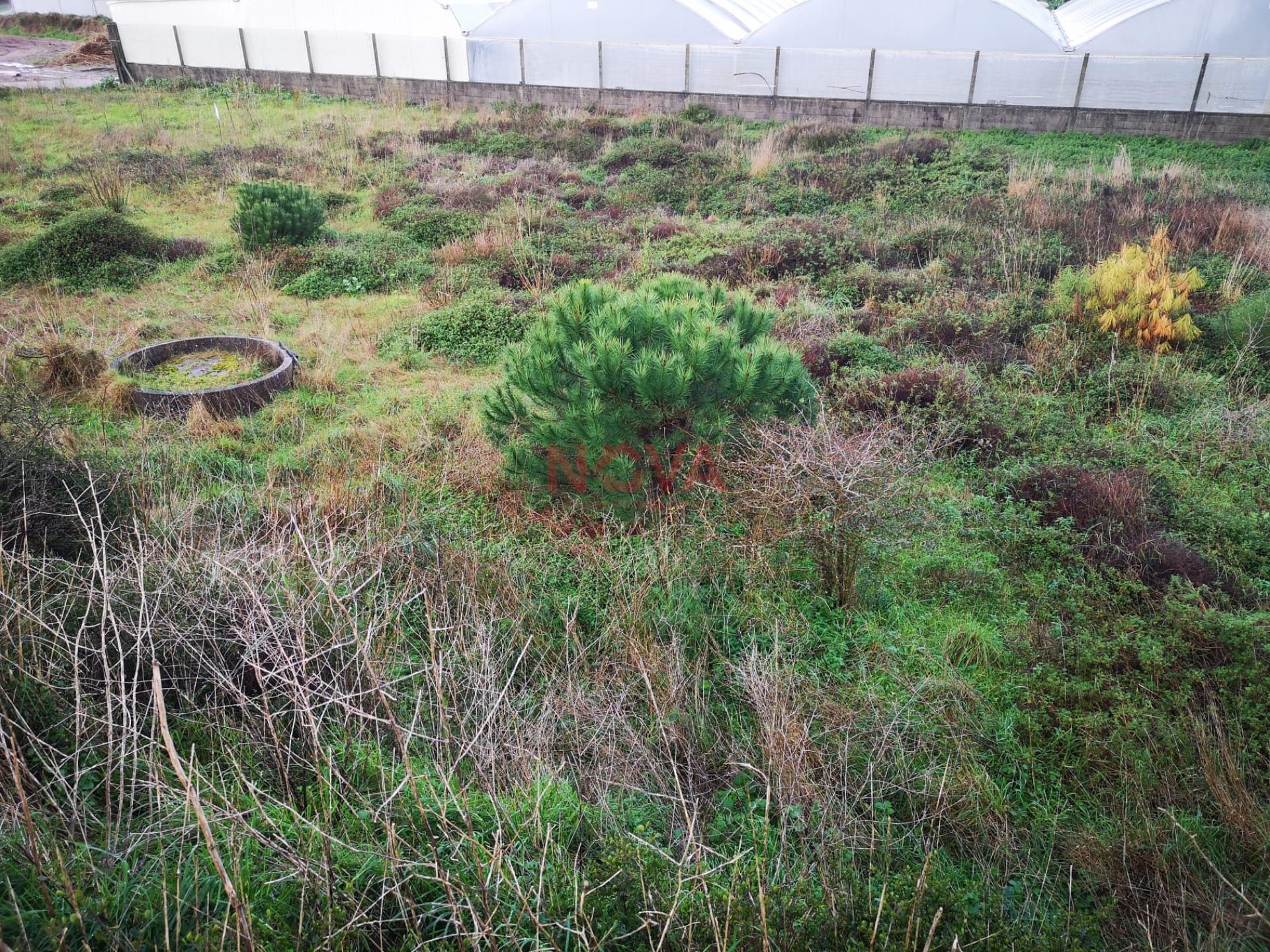 Terreno rustico na Estela | NOVA Imobiliária