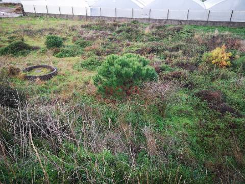 Terreno rustico na Estela | NOVA Imobiliária