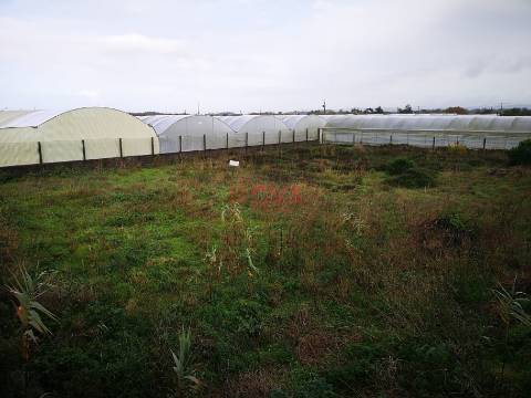 Terreno rustico na Estela | NOVA Imobiliária