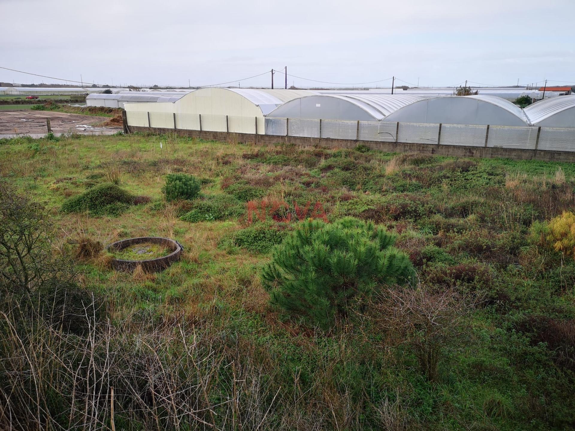 Terreno rustico na Estela | NOVA Imobiliária