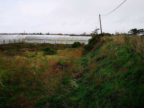 Terreno rustico na Estela | NOVA Imobiliária