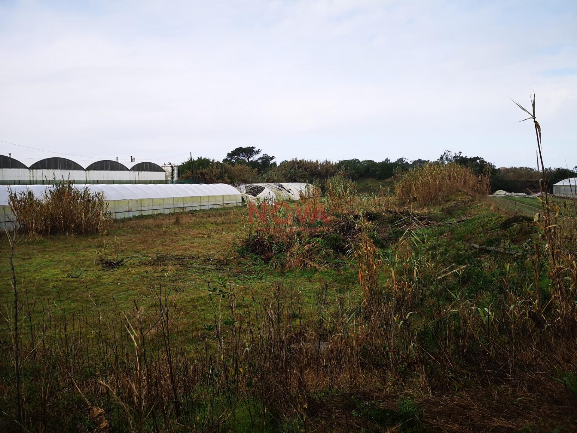 Terreno rustico Estela | NOVA Imobiliária