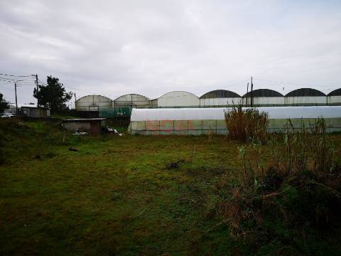 Terreno rustico Estela | NOVA Imobiliária