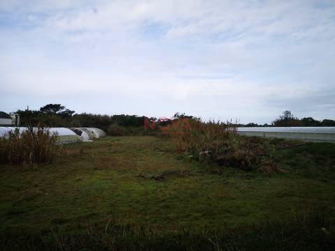 Terreno rustico Estela | NOVA Imobiliária