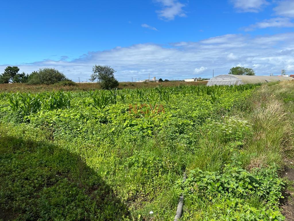 Terreno Rústico  Venda em Aguçadoura e Navais,Póvoa de Varzim
