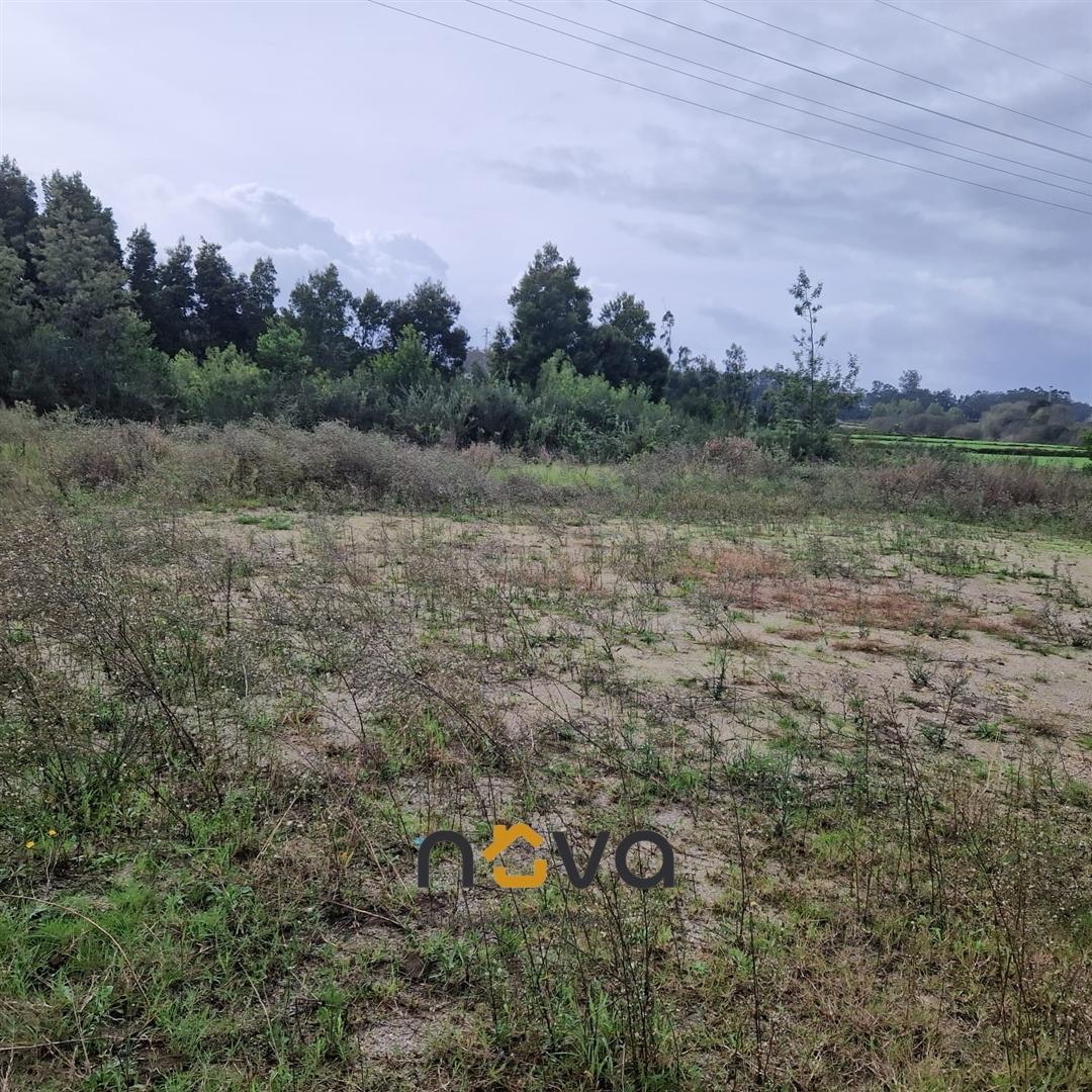 Terreno Rústico  Venda em Retorta e Tougues,Vila do Conde